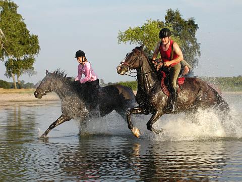 Nocleg w Dziwn&oacute;wku - Agroturystyka "POD KOGUTEM"