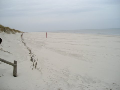 Nocleg w Sasinie - Apartamenty Beata