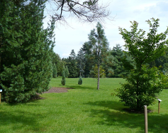 Zdjęcie przedstawia: Arboretum Wirty