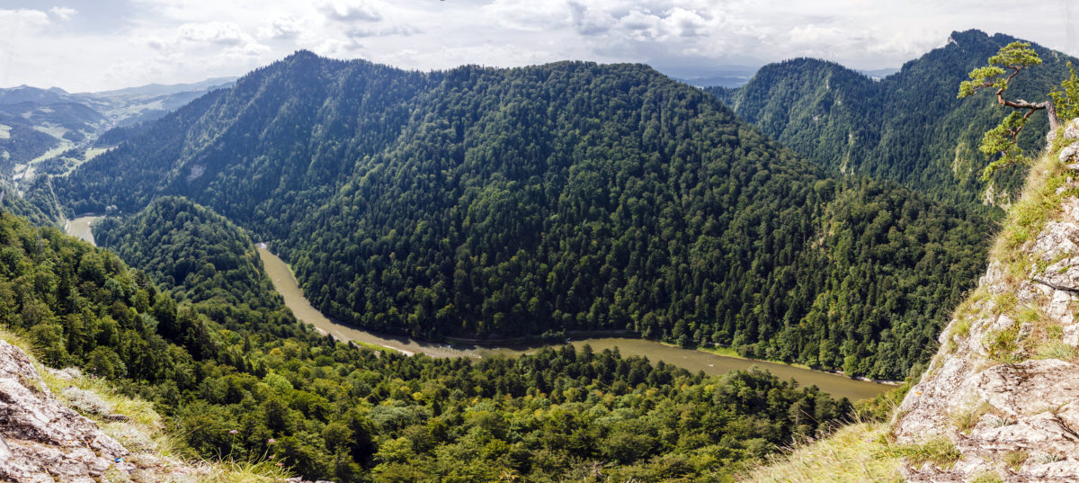 Pieniny