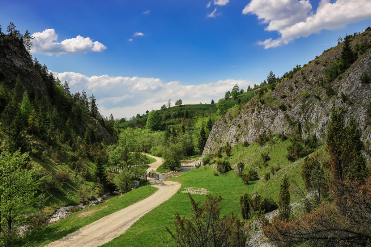 Pieniny, rezerwat Biała Woda