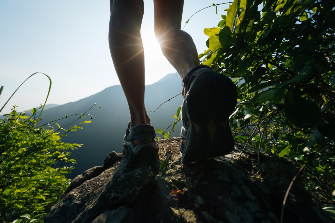 Hiker legs hiking on summer sunrise mountain top