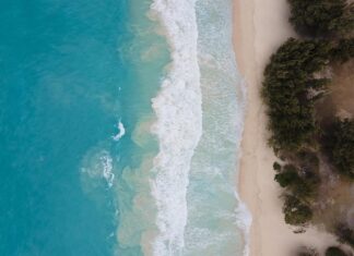Obozy w Bułgarii – czy to bezpieczna opcja wakacji dla młodzieży? Rozwiewamy wątpliwości!
