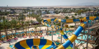 Co robić na wakacjach