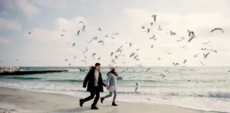 Morze Bałtycie zimą