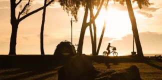 Bikepacking od podstaw