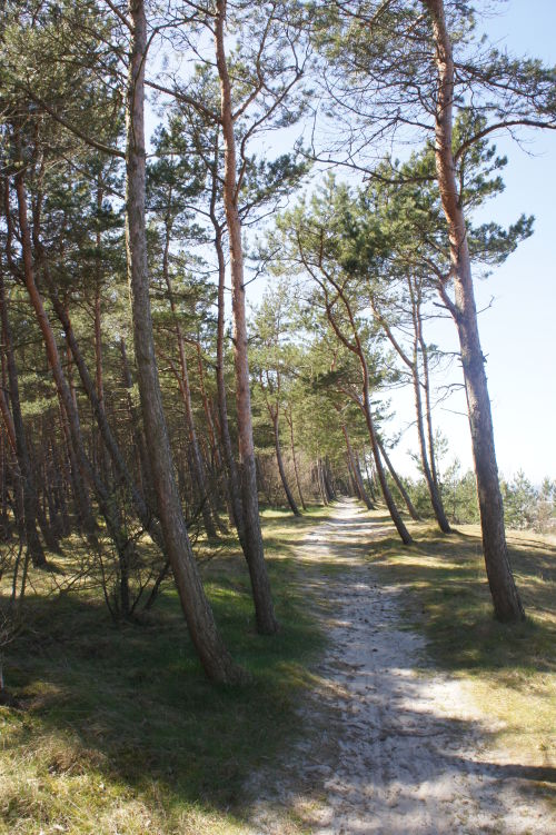 Nocleg w Sztutowie - Bursztynowe domy