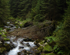 Zdjęcie przedstawia: Dolina Kościeliska