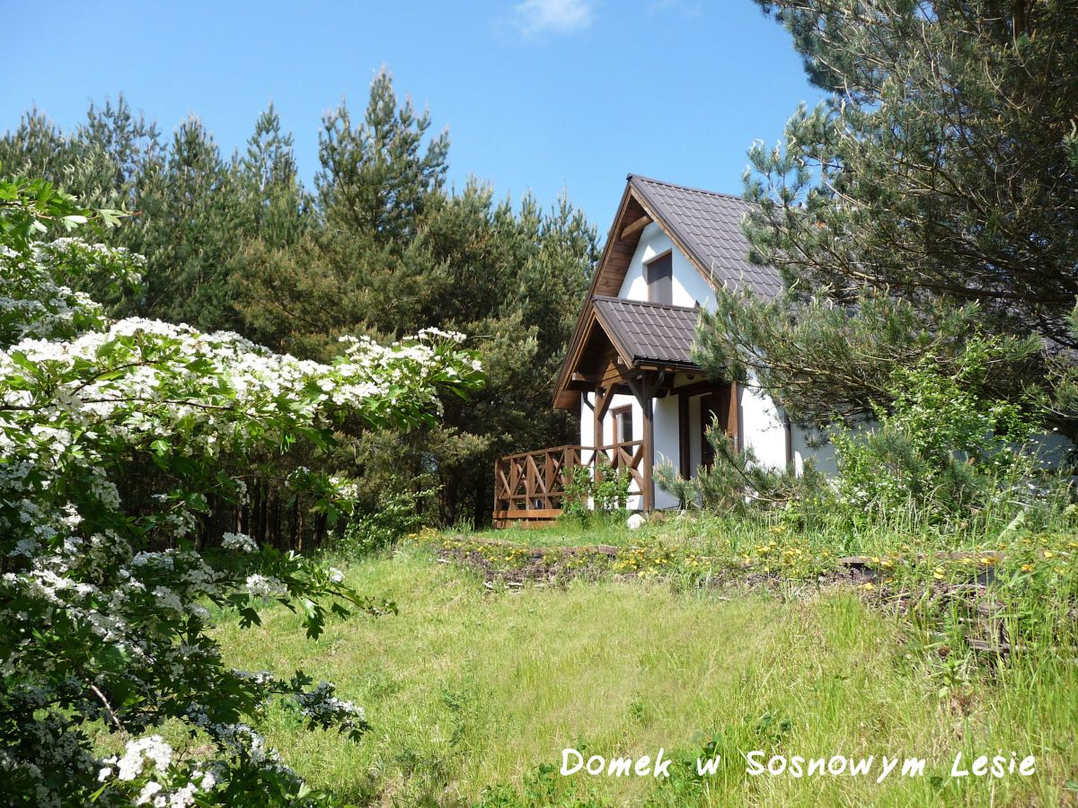 Nocleg w Karwi - Domek w Sosnowym Lesie