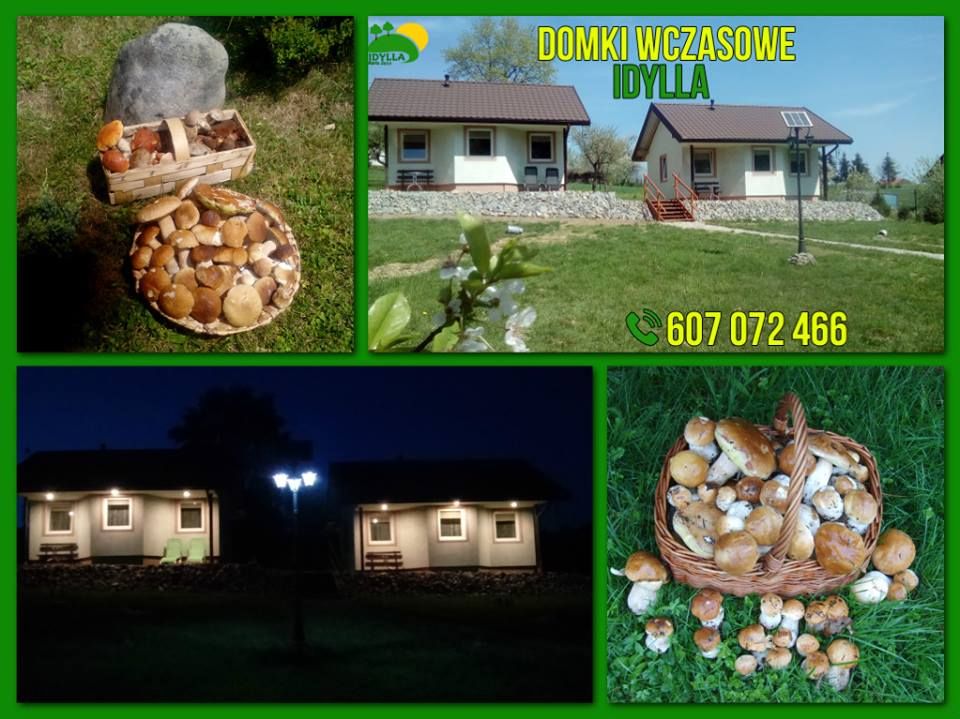 Nocleg w Połomiu Małym - Domki całoroczne Idylla
