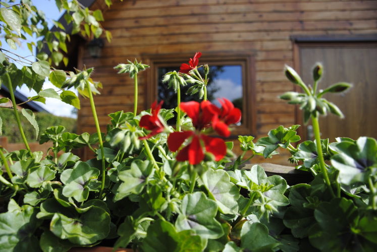 Nocleg w Karwi - DREWNIANE DOMKI