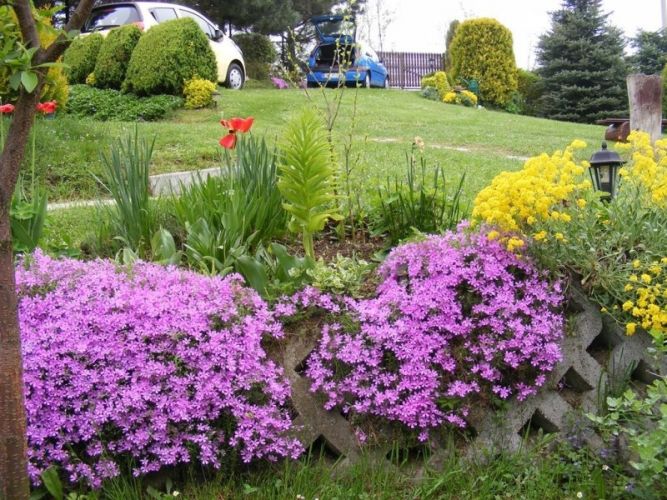 Nocleg w Lipowej - G&oacute;rski Domek w Lipowej