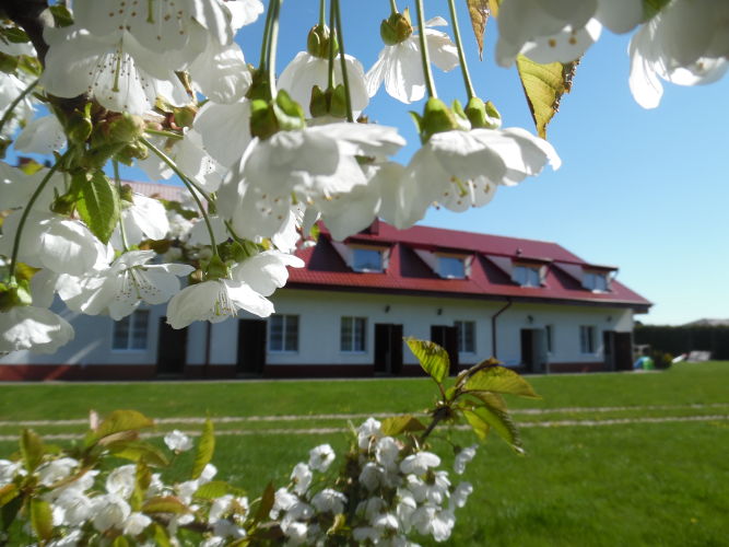 Nocleg w Wiciu - JANTAR WICIE