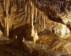 Zdjęcie przedstawia: Jaskinia Niedźwiedzia w Kletnie