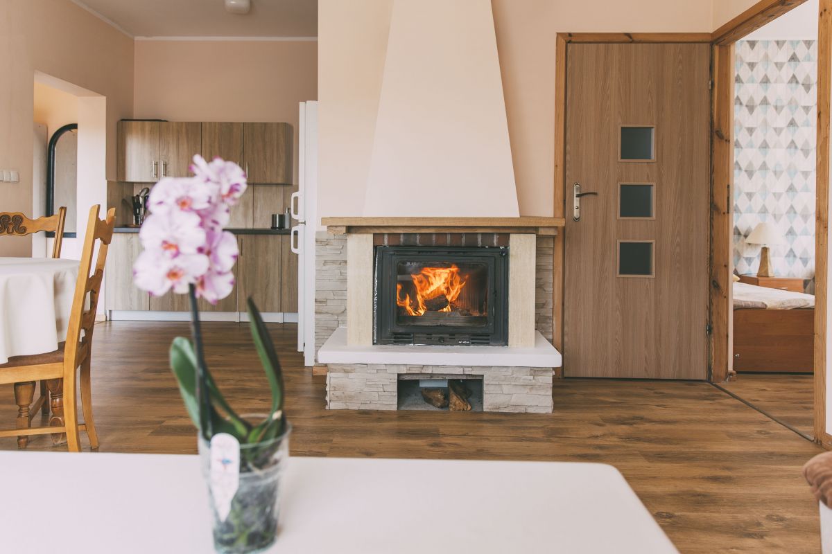 Nocleg w Sasinie - Leśna Oaza Sasino