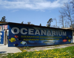 Zdjęcie przedstawia: Oceanarium w Mielnie 