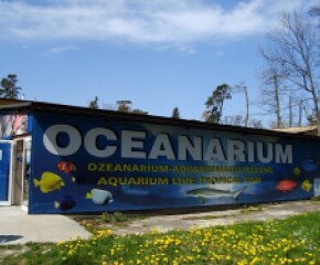 Zdjęcie przedstawia: Oceanarium w Mielnie 
