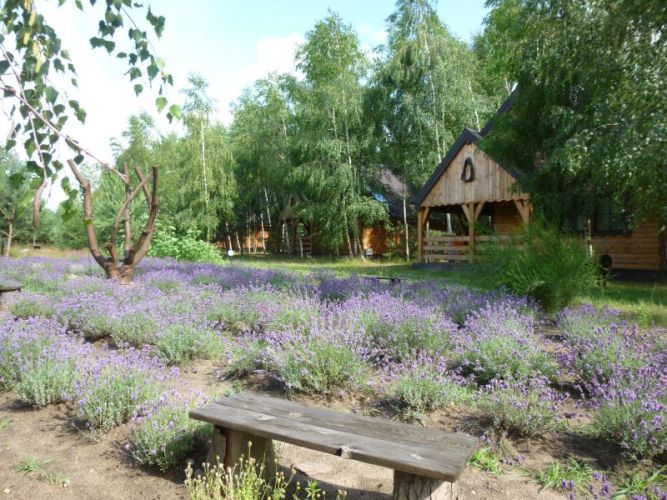 Nocleg w Janopolu - Ośrodek Agroturystyczny Siedli&hellip;