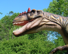 Zdjęcie przedstawia: Park Dinozaurów Ustroń