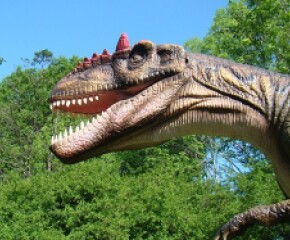 Zdjęcie przedstawia: Park Dinozaurów Ustroń