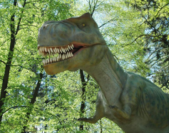 Zdjęcie przedstawia: Park Dinozaurów w Zatorze