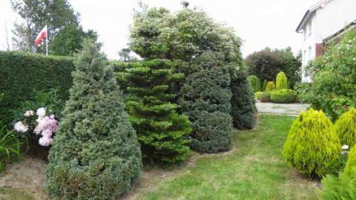 Nocleg w Sianożętach - Pokoje gościnne Krystyna