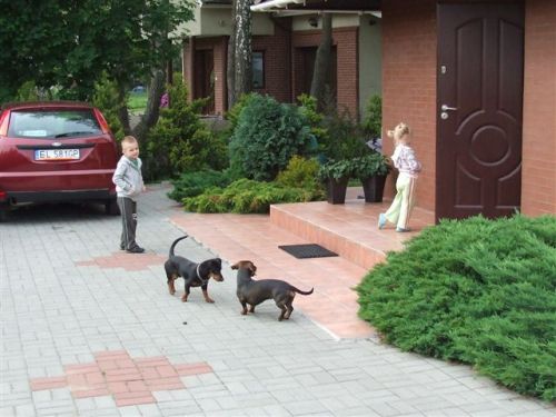 Nocleg w Kątach Rybackich - Pokoje Gościnne UBETTI