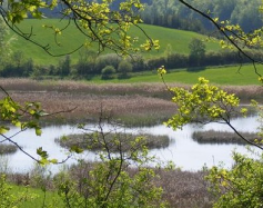 Zdjęcie przedstawia: Sierakowski Park Krajobrazowy