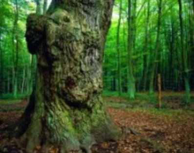 Błękitny Szlak Turystyczny