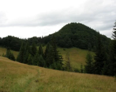 Rezerwat Zielone Skałki 