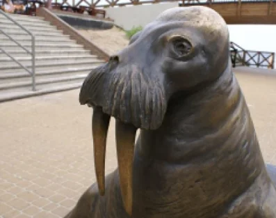 Pomnik Morsa w Mielnie