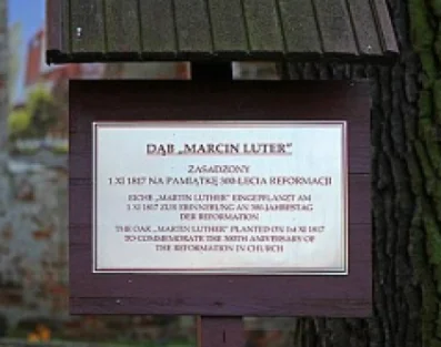 Dąb Marcin Luter