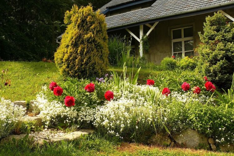 Nocleg w Szklarskiej Porębie - Willa Azalia