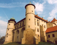 Zdjęcie przedstawia: Zamek w Nowym Wiśniczu