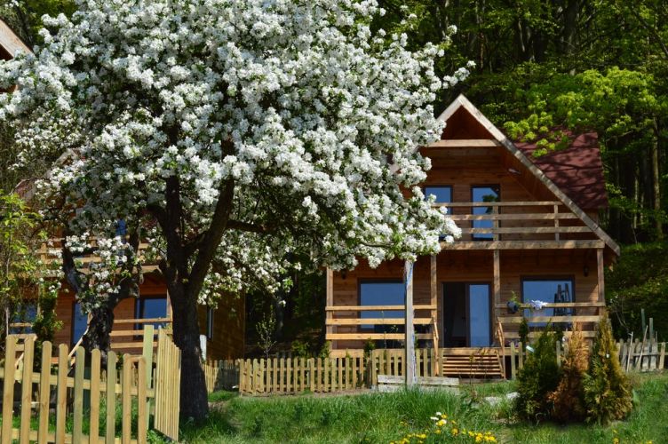 Nocleg Wicku - Złoty Dąb