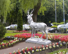 Zdjęcie przedstawia: Posąg jelenia w Mielnie 